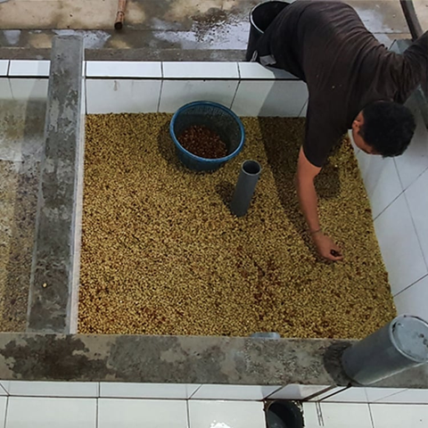Image FERMENT FOR BETTER FLAVOUR